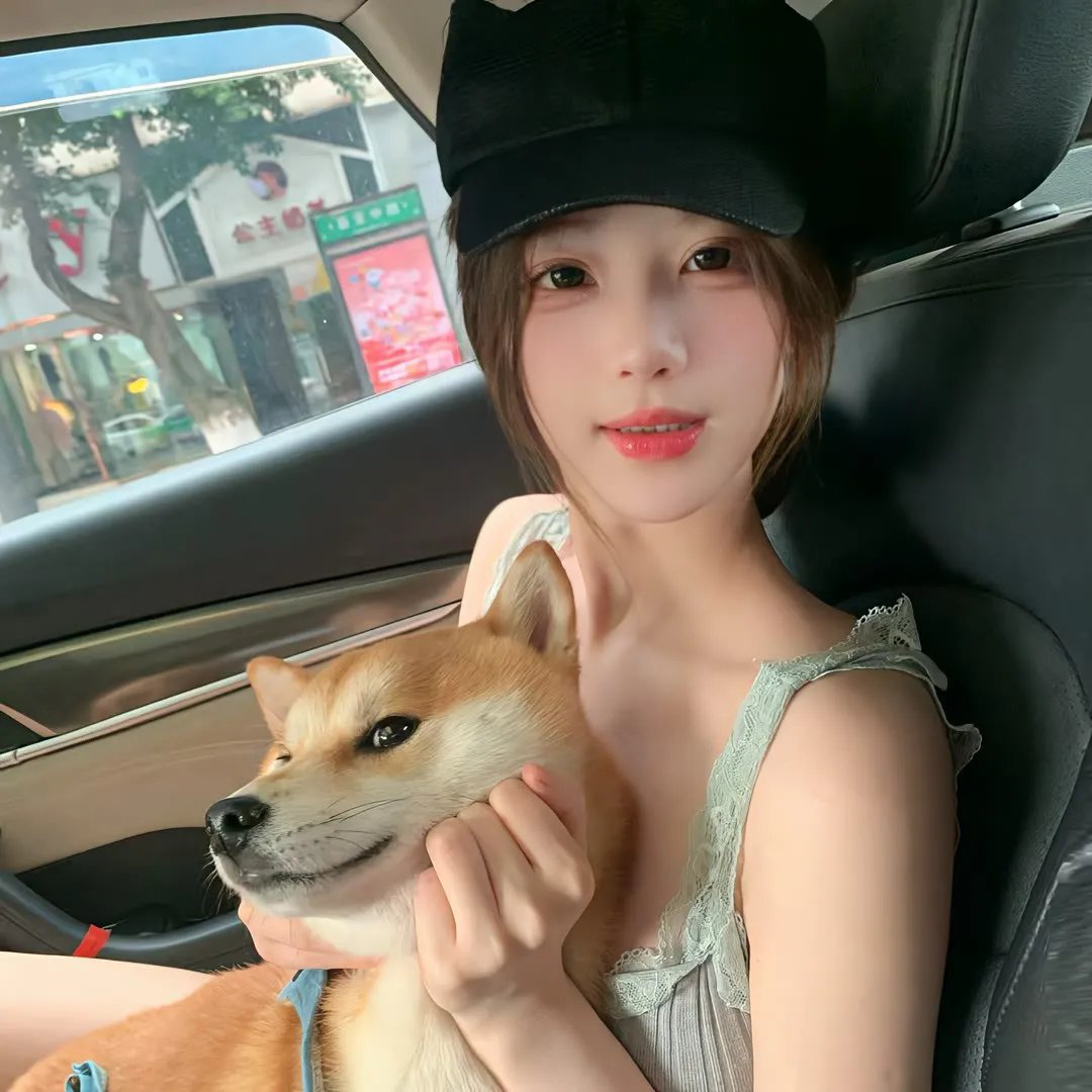 偶然的社长第三季